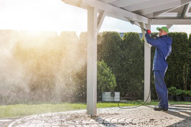 Best Warehouse Cleaning  in Arlington Heights, WA