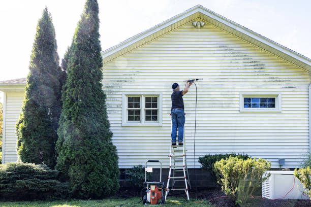 Trusted Arlington Heights, WA Pressure Washing Services Experts